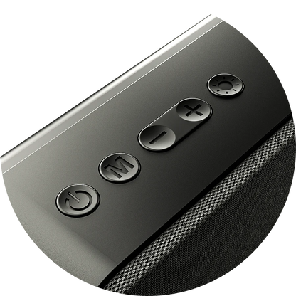 Ronin Reverb Speaker
