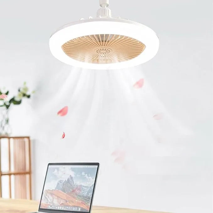 2-in-1 Smart Ceiling Fan Light