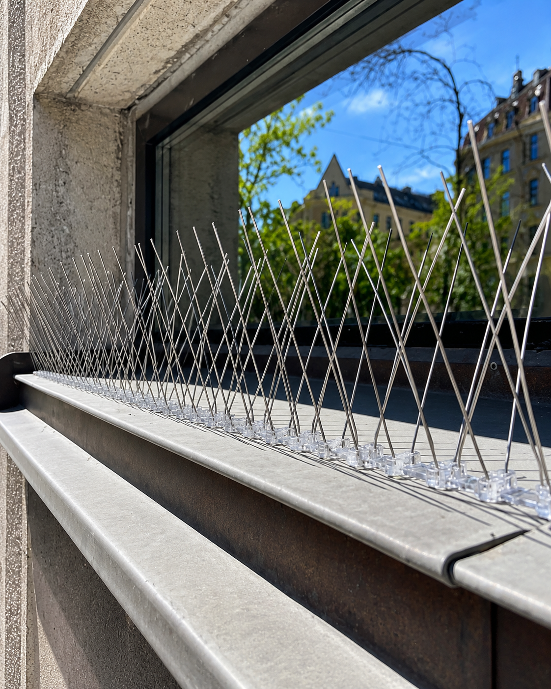 Stainless Steel and Plastic Bird Spikes