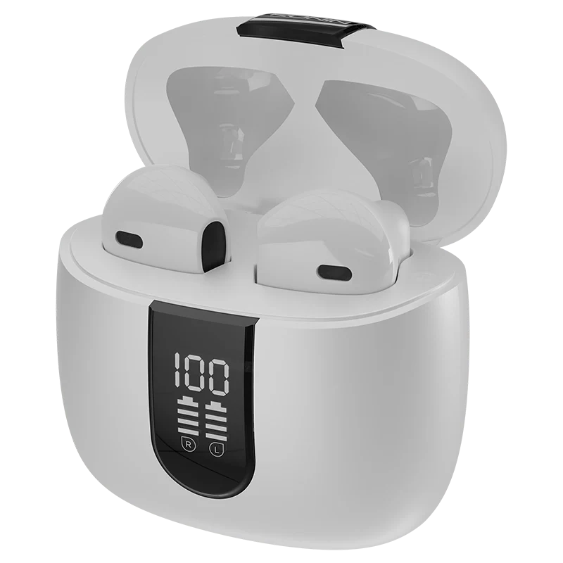 Ronin Mashion Earbuds